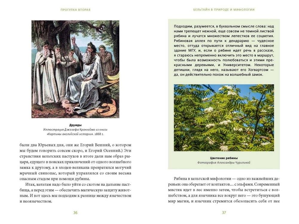 Зачарованный сад. Майское дерево, цветок папоротника и другие легенды о растениях фото книги 5