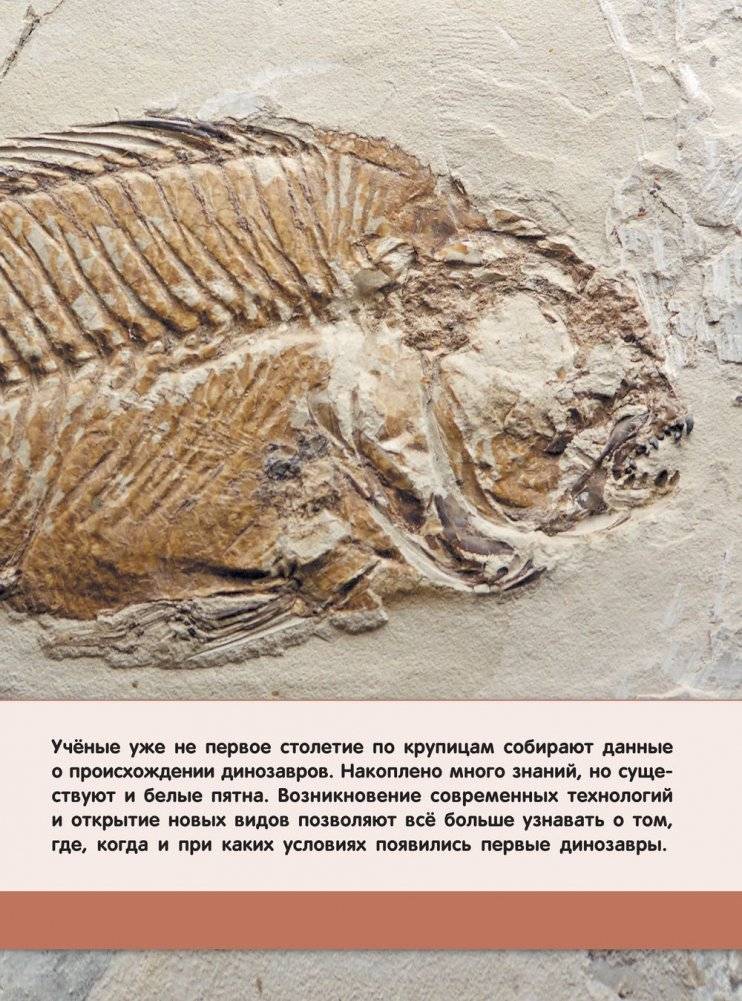 Тайны динозавров. Самая невероятная энциклопедия фото книги 10