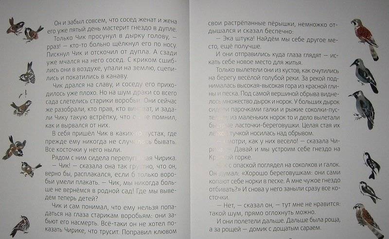 Лесные разведчики фото книги 4