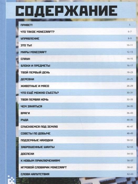 Minecraft для новичков. Шаг за шагом. Только факты фото книги 8