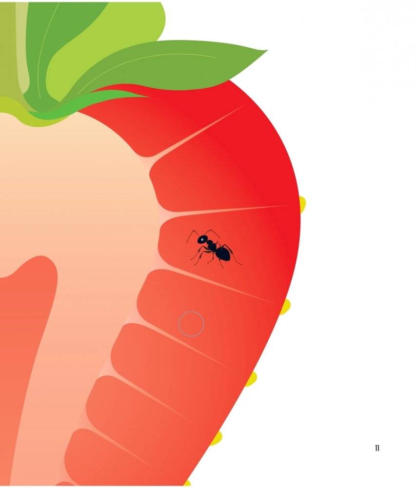 Что за фрукт? фото книги 11