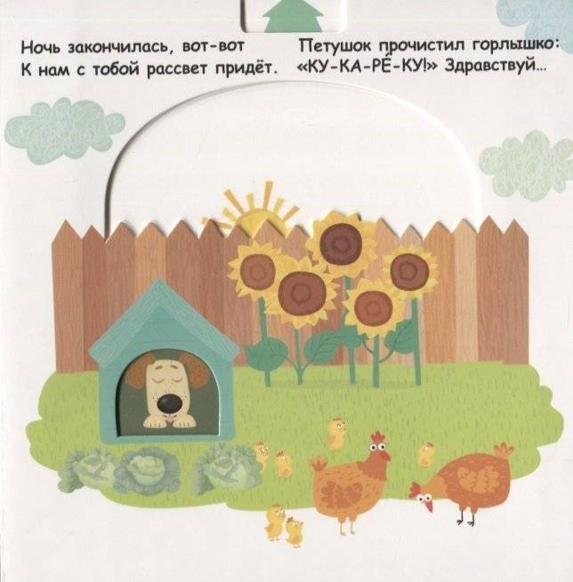 Утро, вечер, день и ночь фото книги 5