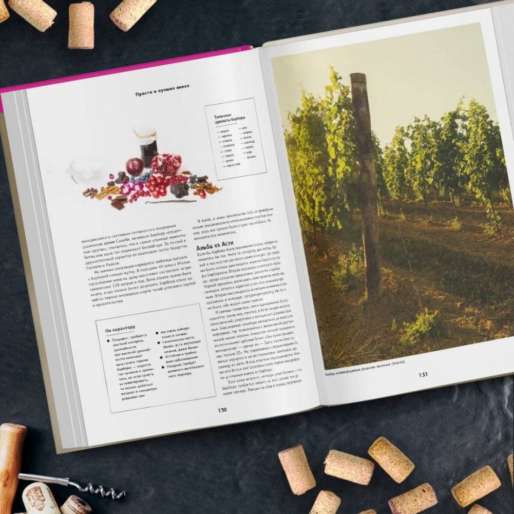 Просто о лучших винах. Новая энциклопедия. Издание 2-е, дополненное фото книги 4