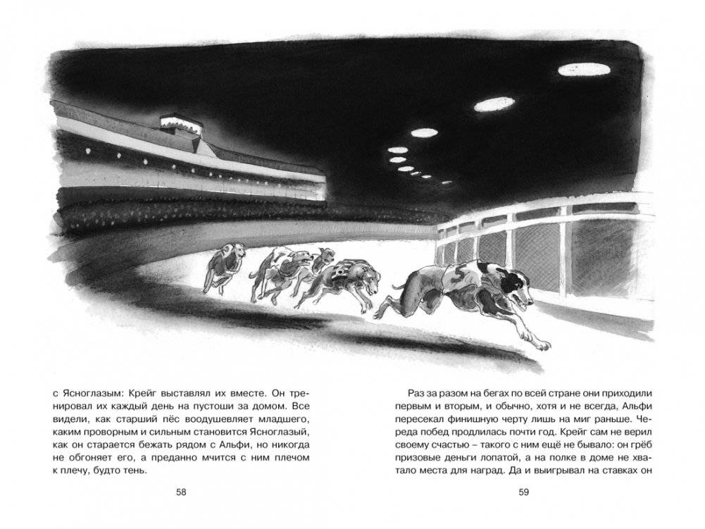 Рождённый бежать фото книги 5