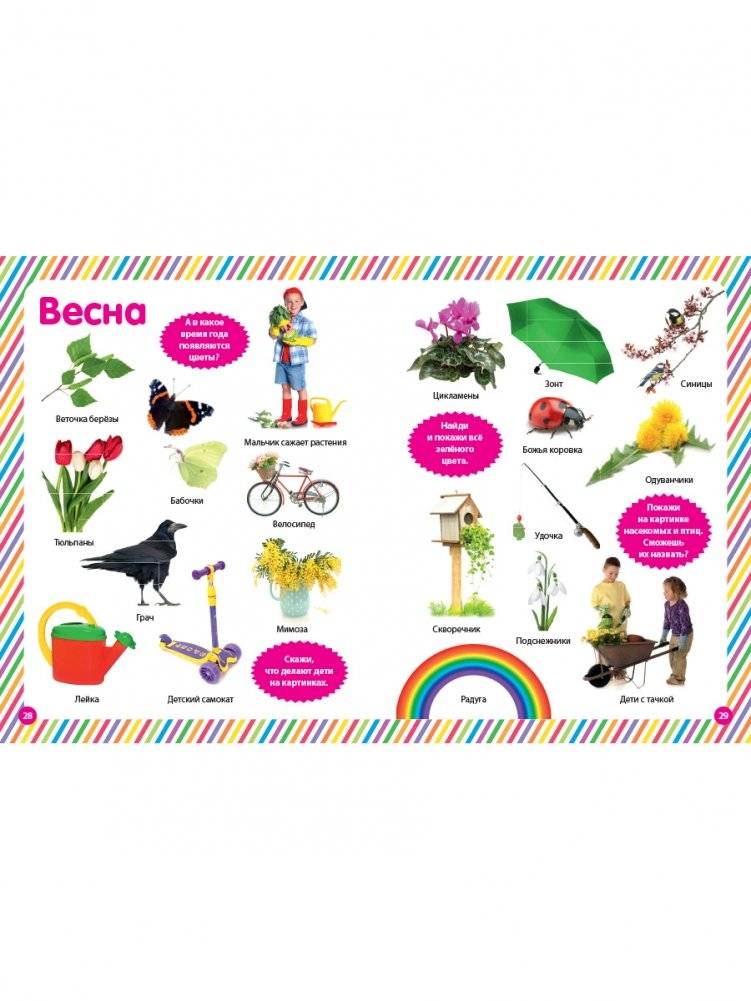 Мир вокруг нас. Фотокнига для малышей фото книги 6