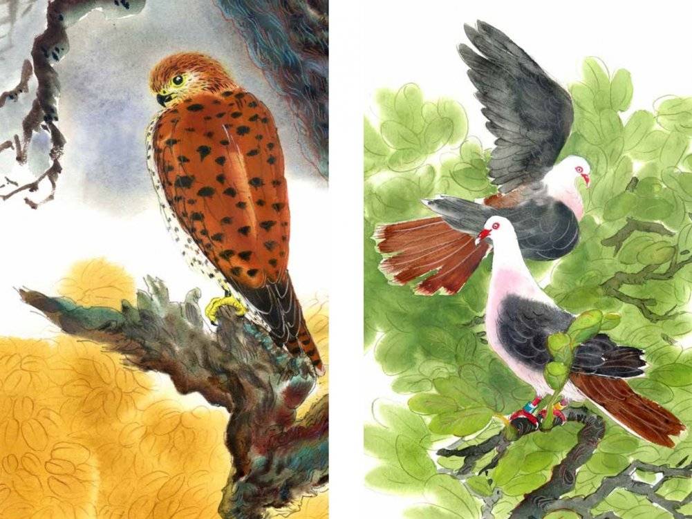 Остров, одетый в джерси фото книги 2