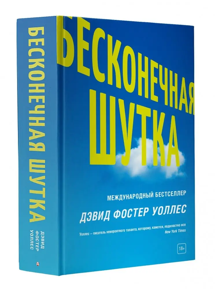 Бесконечная шутка фото книги