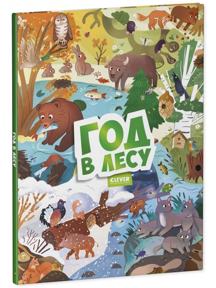 Виммельбух. Круглый год. Год в лесу фото книги 2