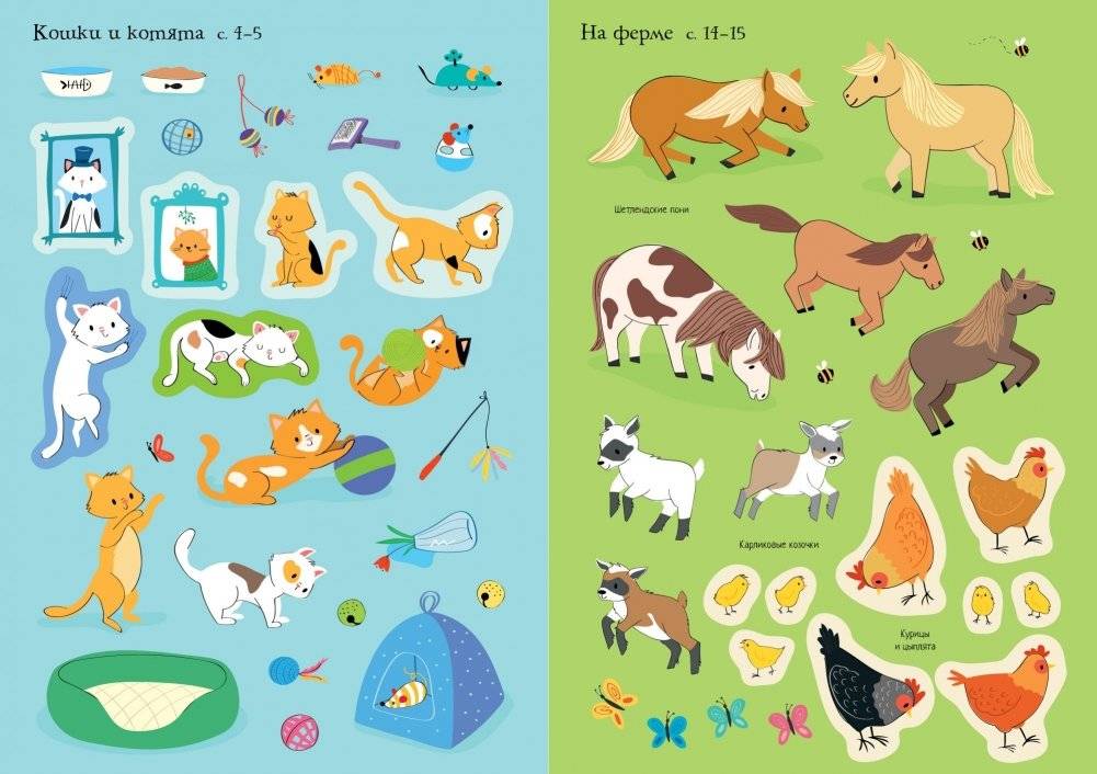 Мои питомцы фото книги 6