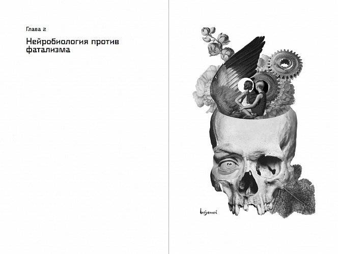 Homo Mutabilis. Как наука о мозге помогла мне преодолеть стереотипы, поверить в себя и круто изменить жизнь фото книги 4