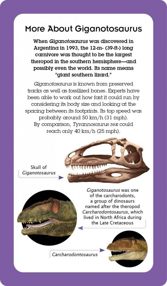 Dinosaurs: Book and Fact Cards фото книги 3