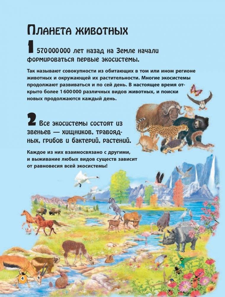 Животные фото книги 3