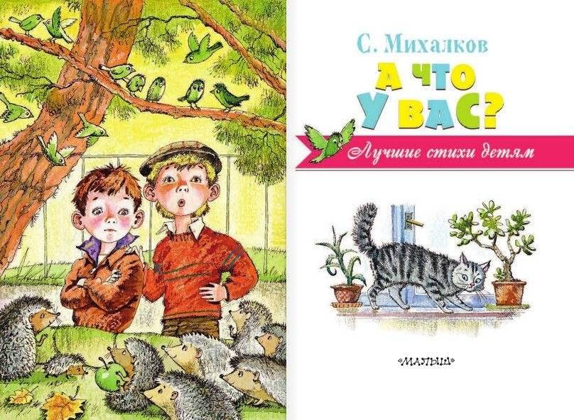 А что у вас? фото книги 2