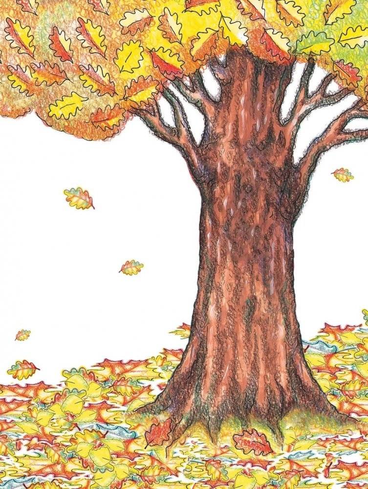 Жыве ўсюды прыгажосць фото книги 11