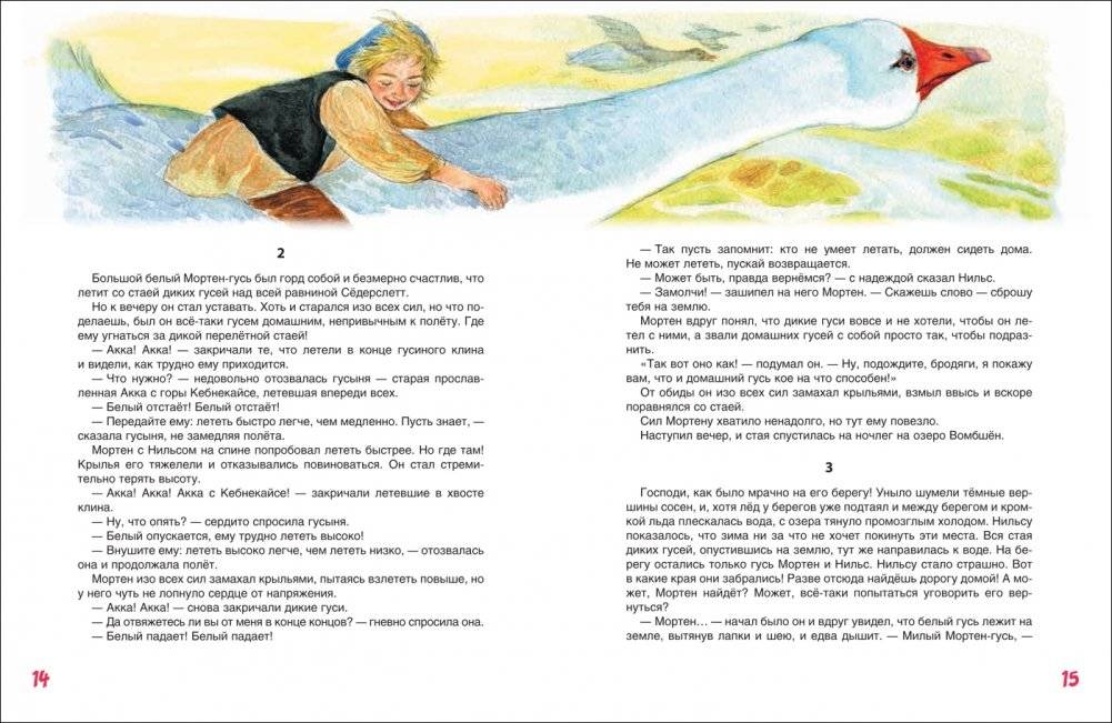 Чудесное путешествие Нильса с дикими гусями фото книги 3