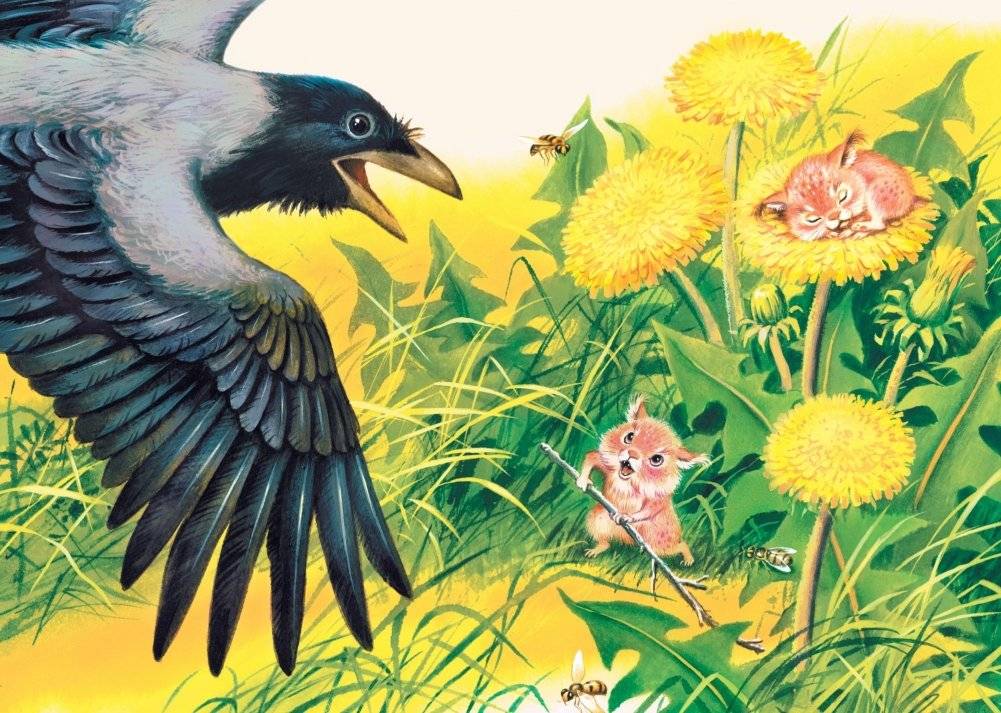 Большой Кыш фото книги 2