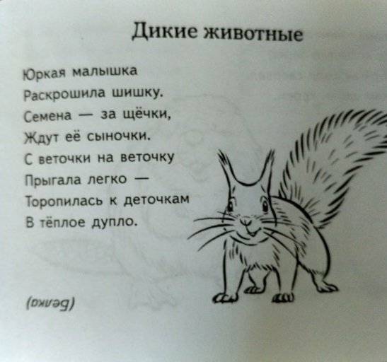 Загадки о животных фото книги 5