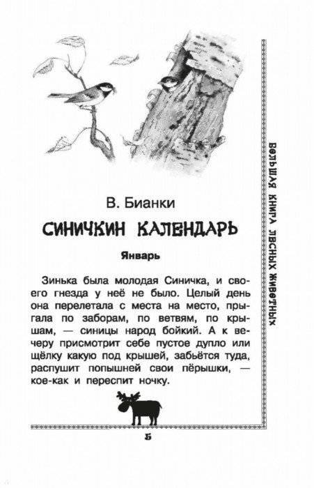 Большая книга лесных животных фото книги 2