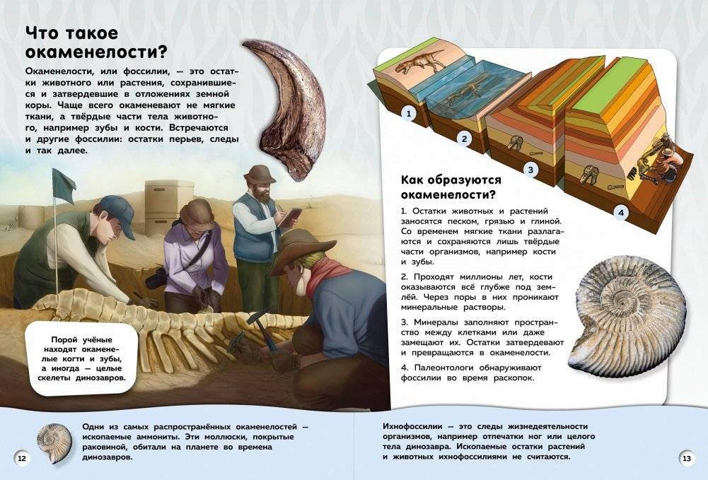 Большая книга динозавров. Вопросы и ответы фото книги 2