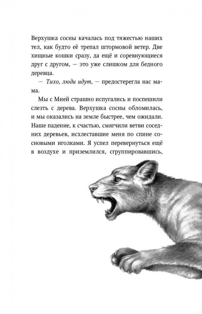 День огня фото книги 6