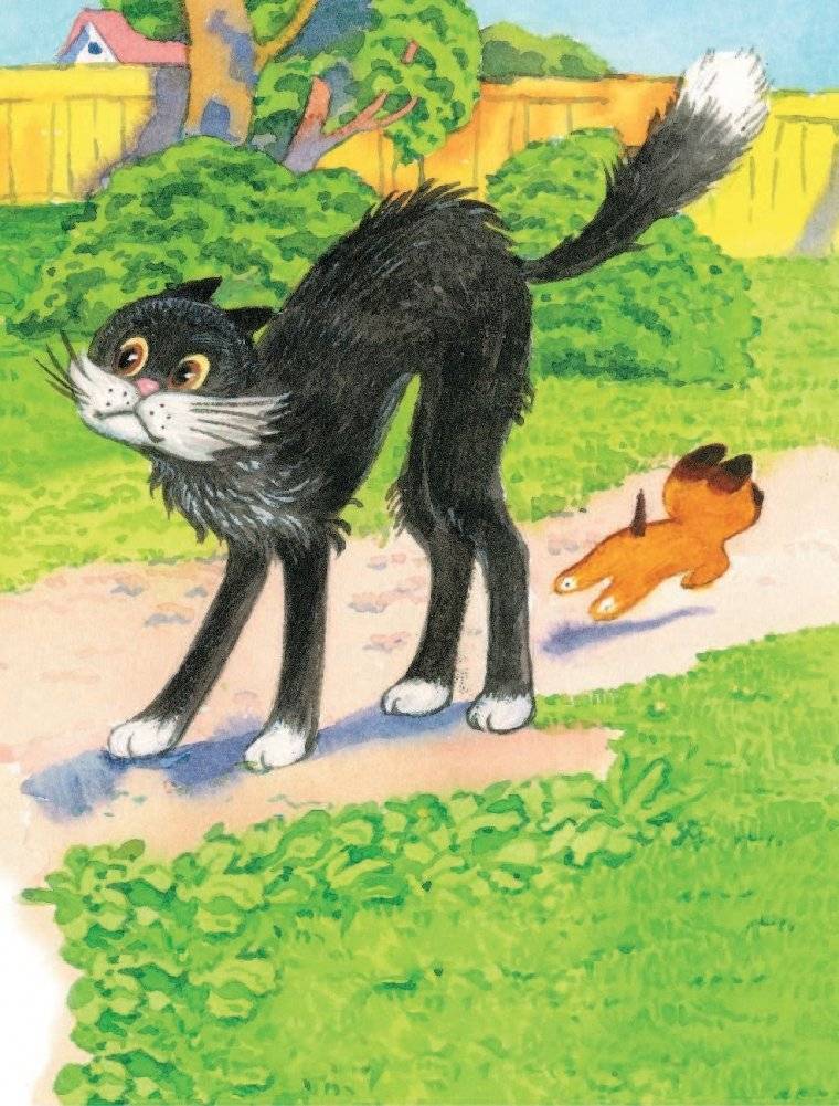 Котенок по имени Гав. Сказки фото книги 14