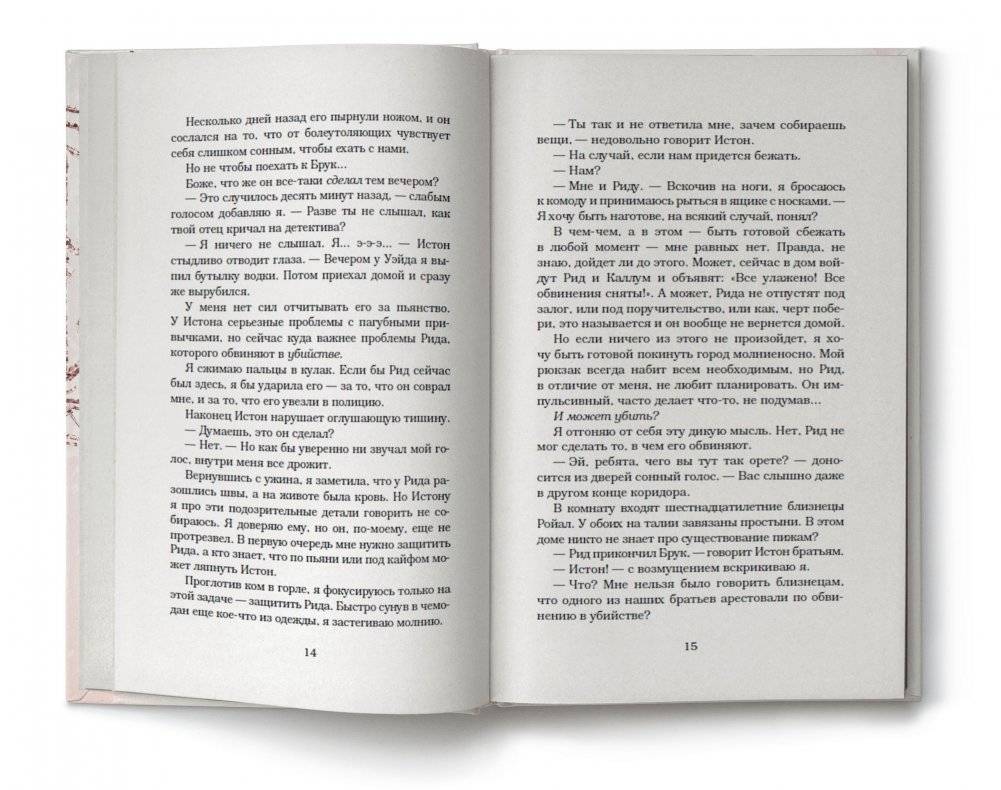 Разрушенный дворец фото книги 2