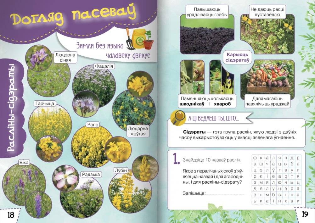 Ласункі агарода, саду, лесу. Узбагачаем слоўнікавы запас, выконваем заданні, пашыраем кругагляд (6-10 гадоў) фото книги 5