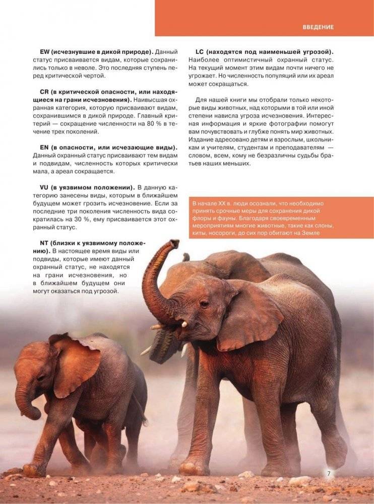 Красная книга. Животные мира фото книги 8