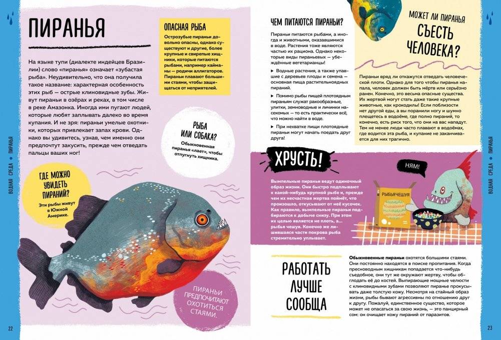 Мир вокруг тебя. Эти невероятные животные! фото книги 4