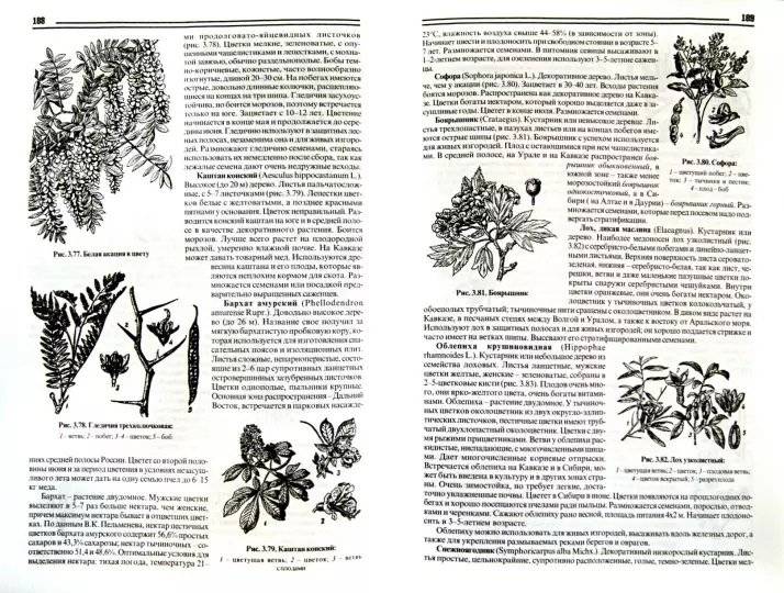 Пчеловоду России фото книги 2