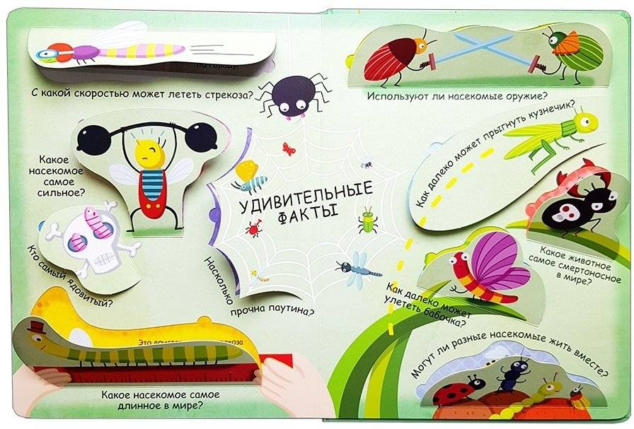 Волшебные окошки. Микромир фото книги 4