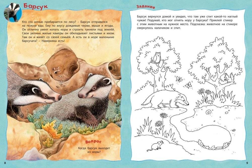 Кто живёт в лесу? Книжка-активити с развивающими заданиями, головоломками, наклейками фото книги 3