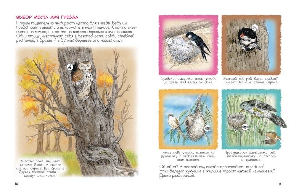 Кто где живет? фото книги 2