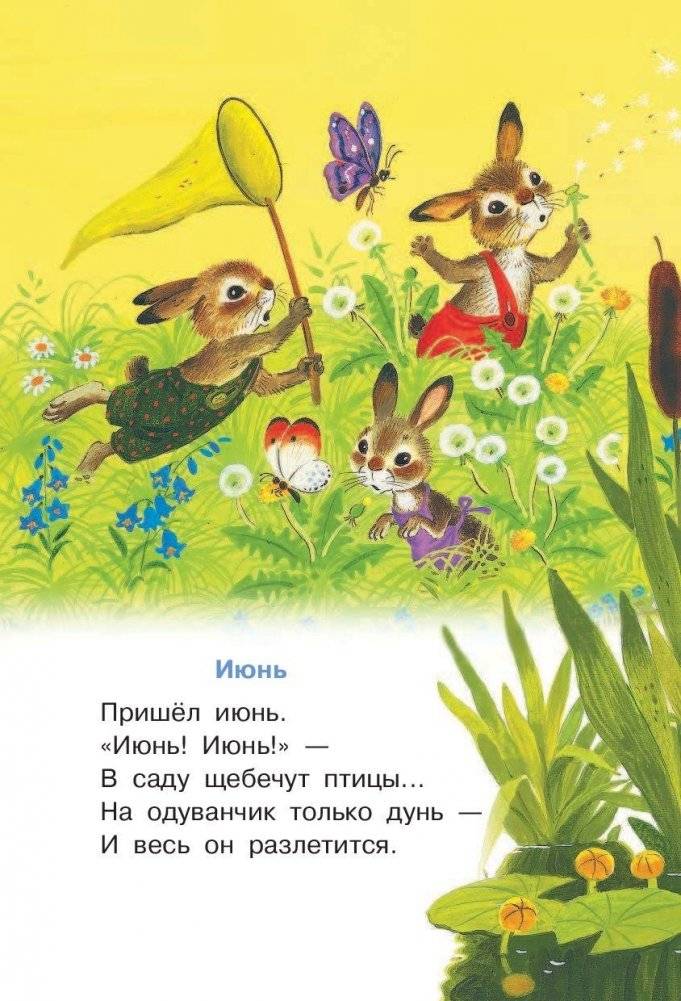 Разноцветные страницы фото книги 11