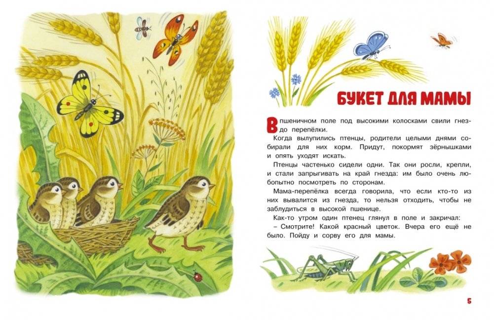 Мамины сказки фото книги 3
