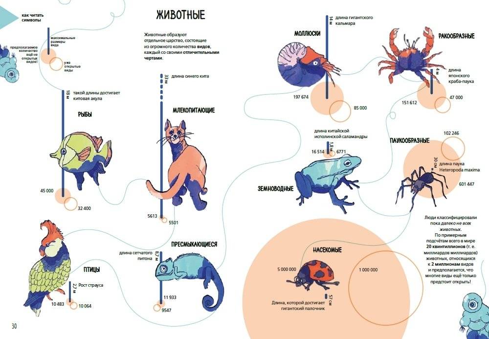 Планета Земля. Мир вокруг нас в инфографике фото книги 7