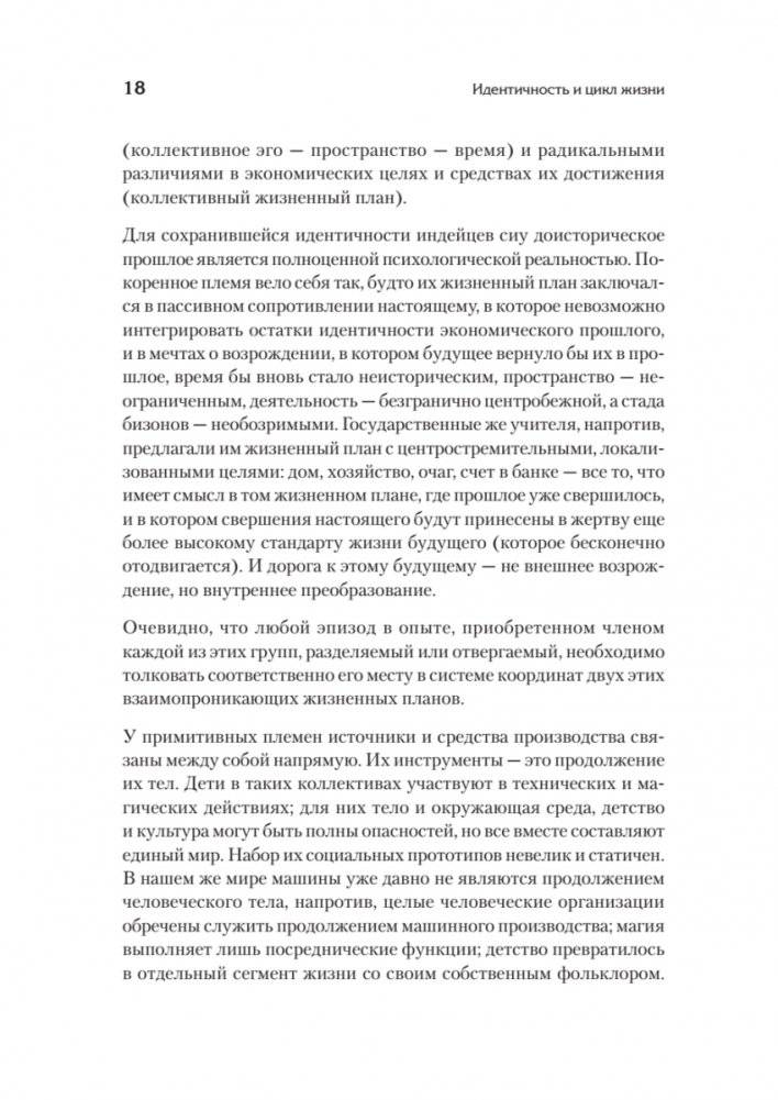 Идентичность и цикл жизни фото книги 7