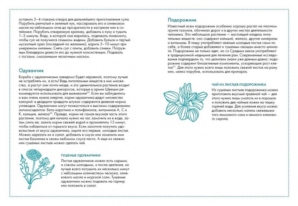 Friluftsliv: Норвежский ключ к счастливой жизни фото книги 8