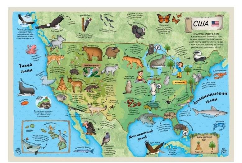 Гигантский атлас животных мира фото книги 4