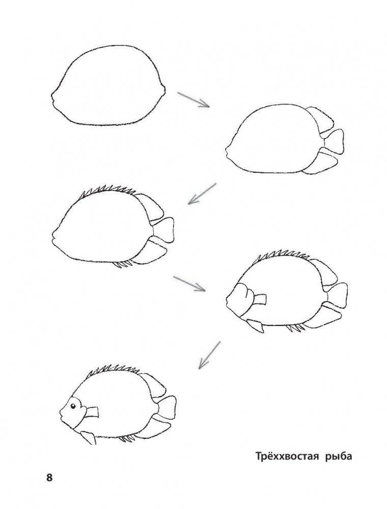 Рисование. Первые шаги фото книги 7
