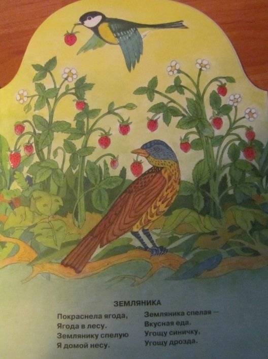 Что нам лето подарило? фото книги 7