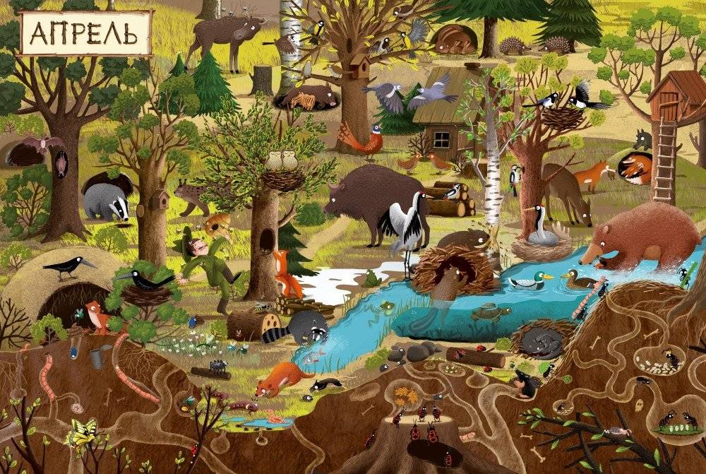 Год в лесу. Найди и покажи фото книги 2