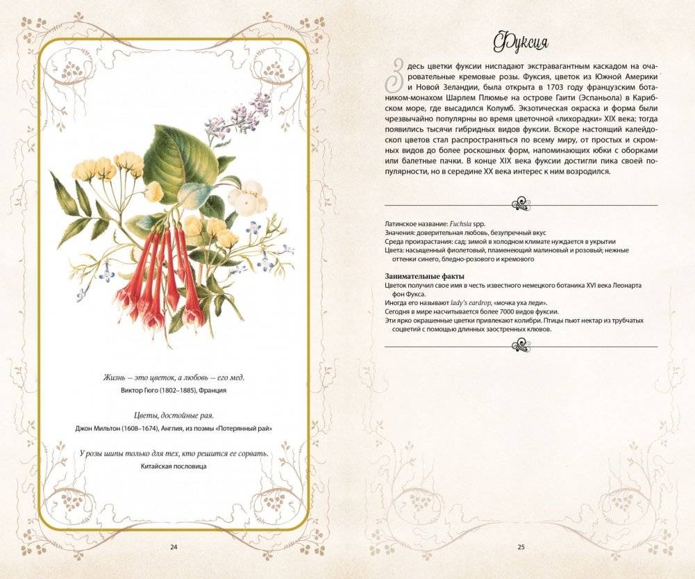 Тайный язык цветов фото книги 5