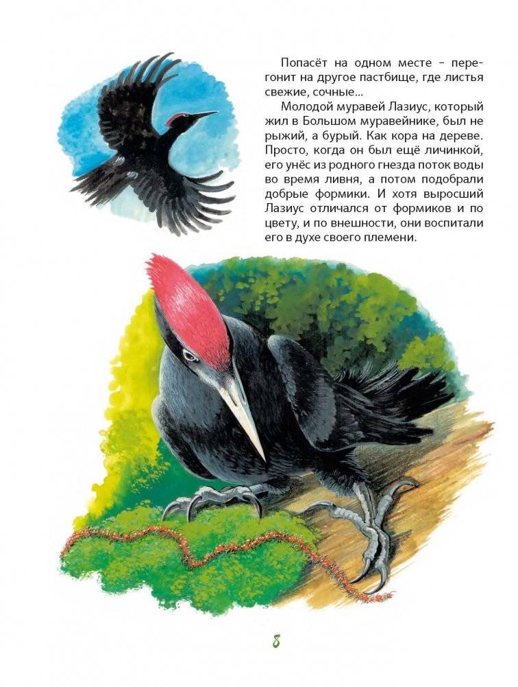 Приключения храброго муравья фото книги 9
