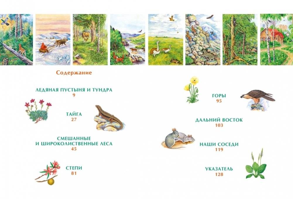 Природа России. Иллюстрированная энциклопедия фото книги 2