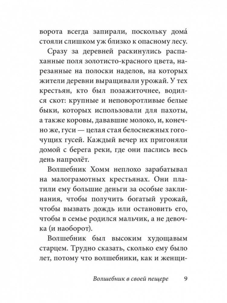 Волшебник Боландского леса фото книги 4