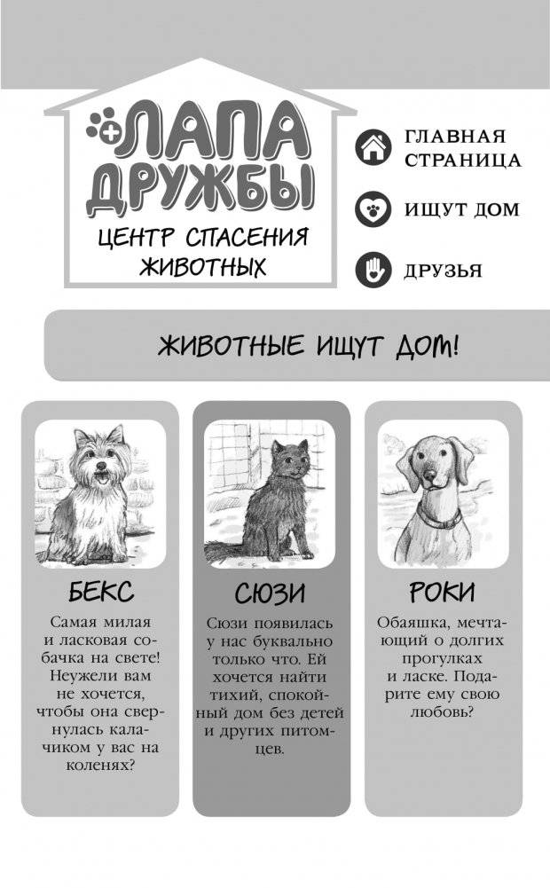 Тайна дома с котёнком фото книги 5