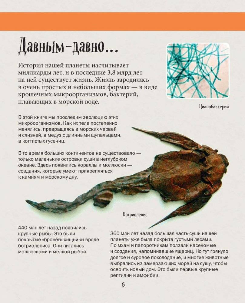 История жизни на Земле. От бактерии до человека фото книги 6