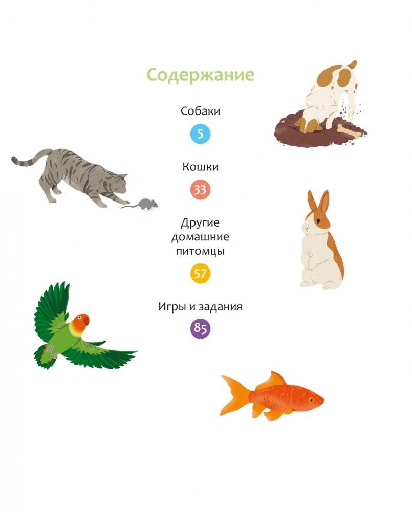 Любимые питомцы фото книги 2