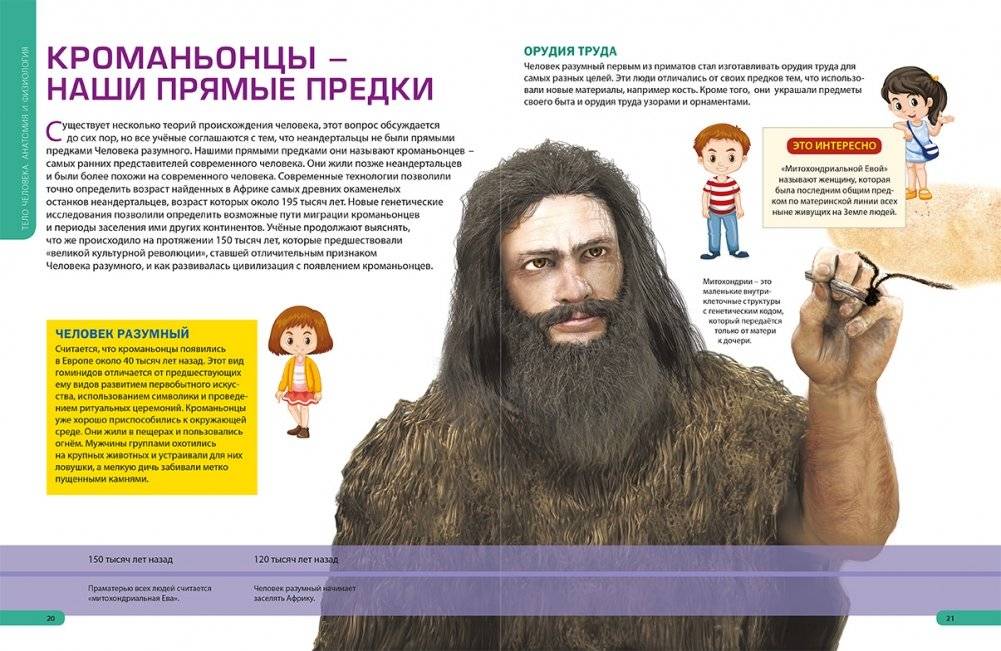 Детям о теле человека. Иллюстрированная энциклопедия фото книги 3